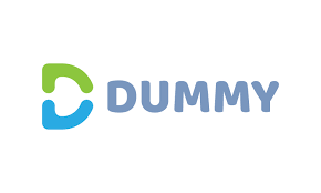 Company Name